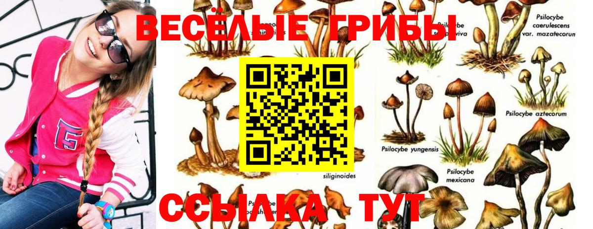 Codein  Вход с VPN  Марихуана  МЕФ кристаллы  Дальнереченск  ГАШИШ 